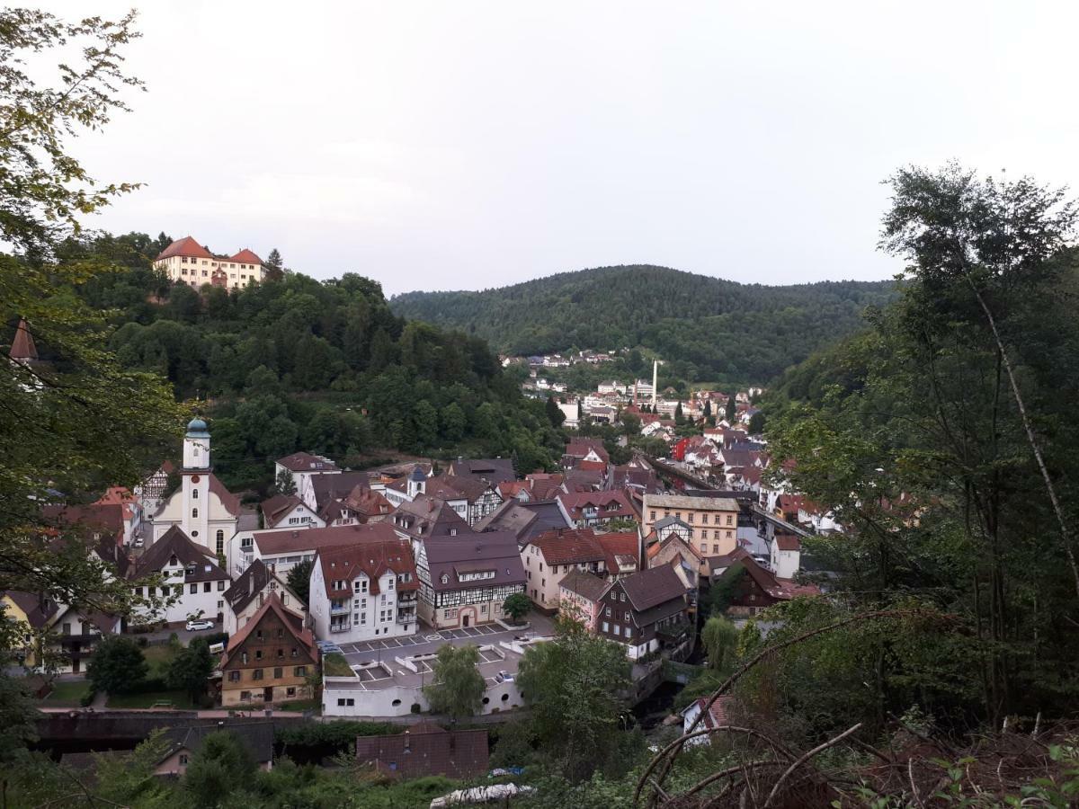Ferienwohnung Buchberg Exklusiv Neuenburg  Dış mekan fotoğraf